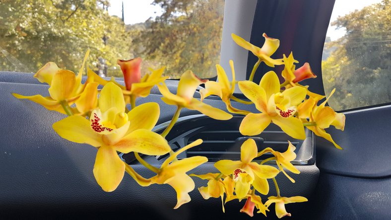 l'aria condizionata dell'auto con fiori gialli animati che escono da essa